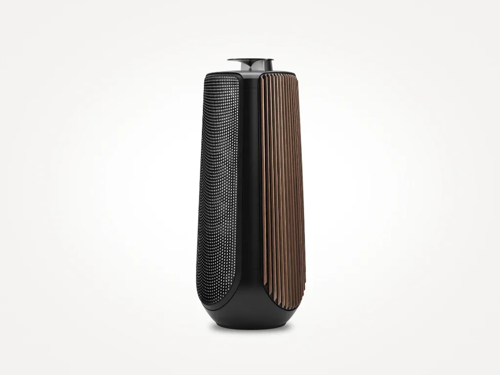 Beolab 50 0048.webp