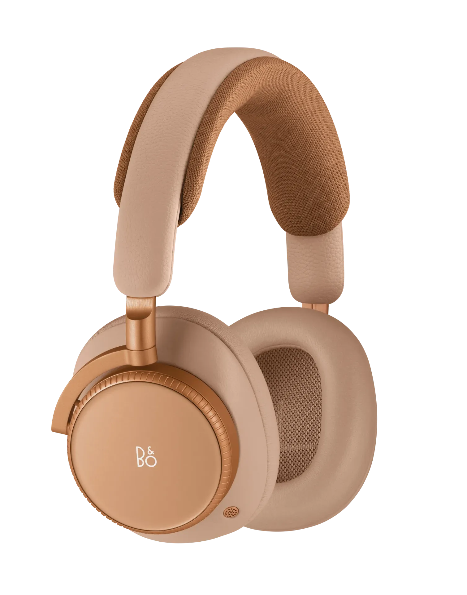 BeoPlay H100